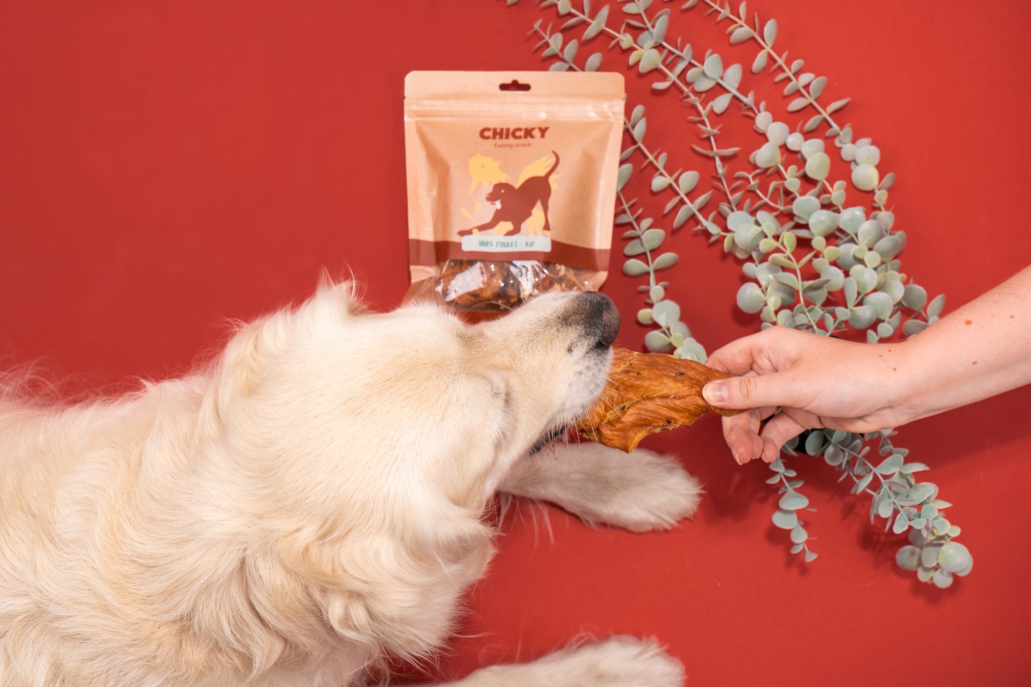 chicky-treat-100-natural-dog-chef